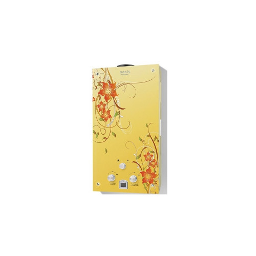 Проточный газовый водонагреватель Oasis BG-20 GLASS беж. цветы